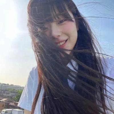 鸣鸿传