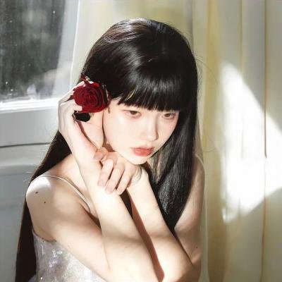 乱马 OVA特别篇 无差别格斗对凤凰