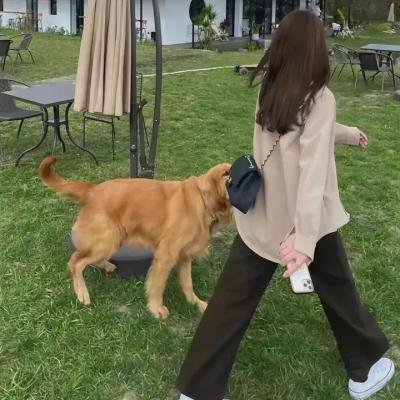 丑闻录带大阴谋